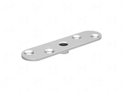 Stainless steel plate